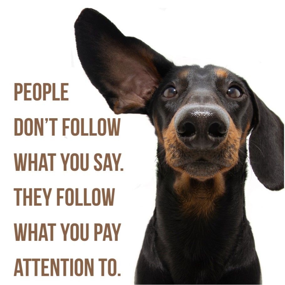 Read more about the article Attention (Not Time) Is the New Leadership Currency